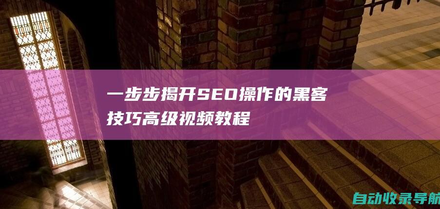 一步步揭开SEO操作的黑客技巧：高级视频教程