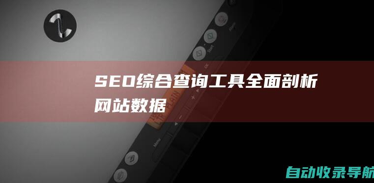 SEO综合查询工具：全面剖析网站数据