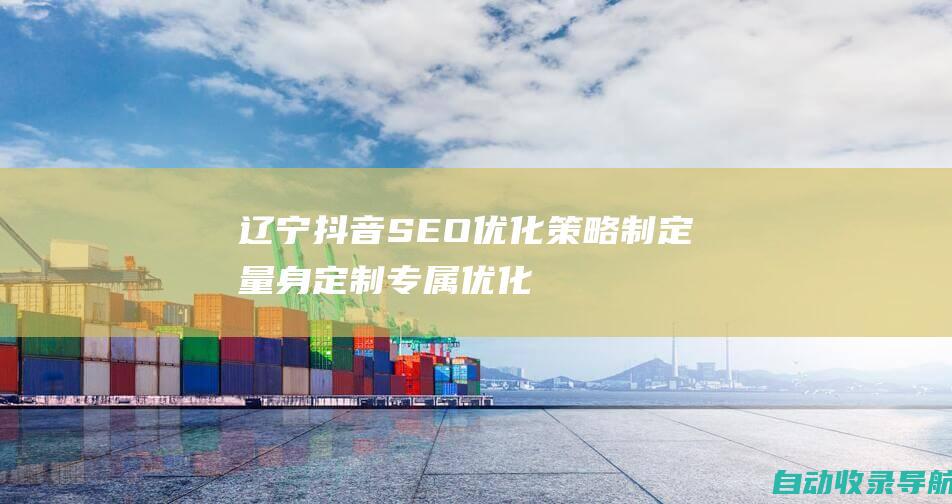 辽宁抖音SEO优化策略制定：量身定制专属优化方案