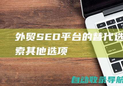 外贸SEO平台的替代选择：探索其他选项