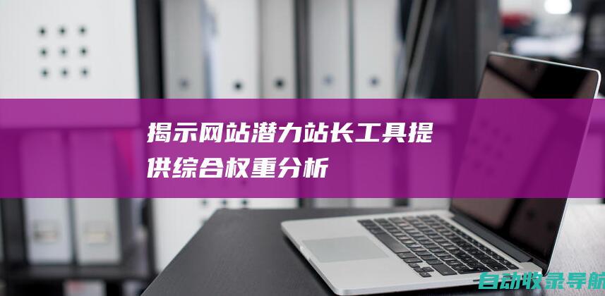 揭示网站潜力：站长工具提供综合权重分析