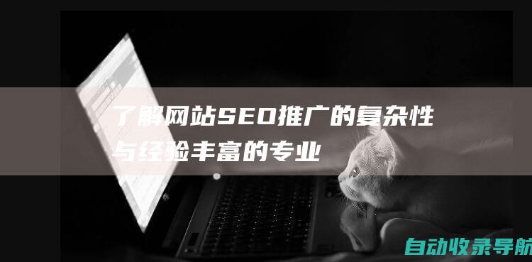 了解网站SEO推广的复杂性：与经验丰富的专业人士合作