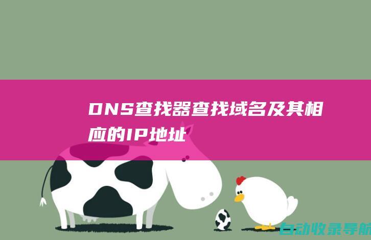 DNS查找器：查找域名及其相应的IP地址