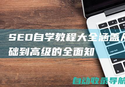 SEO自学教程大全：涵盖从基础到高级的全面知识体系