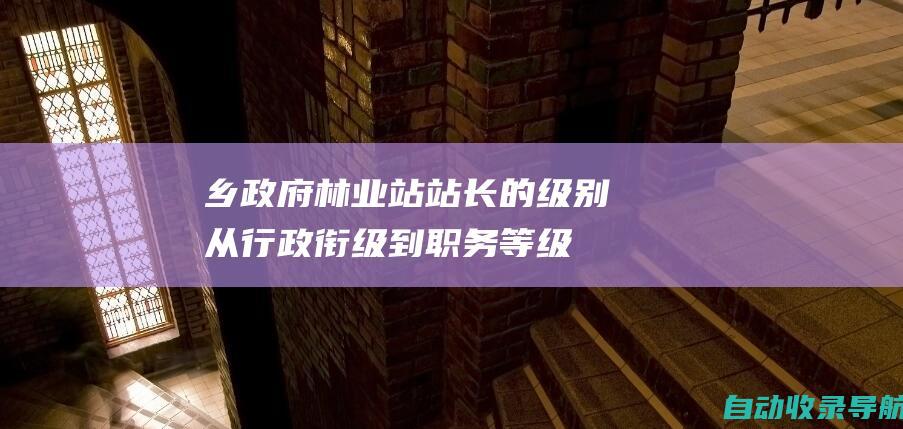 乡政府林业站站长的级别：从行政衔级到职务等级