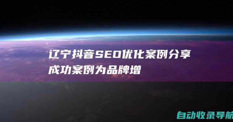 辽宁抖音SEO优化案例分享：成功案例为品牌增长赋能