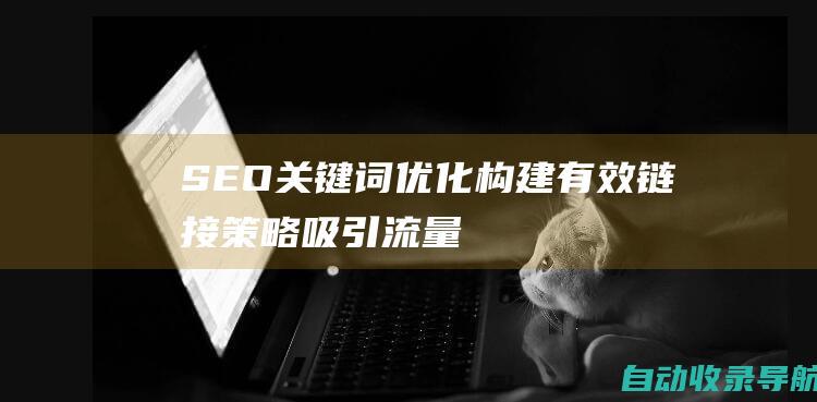 SEO关键词优化：构建有效链接策略吸引流量