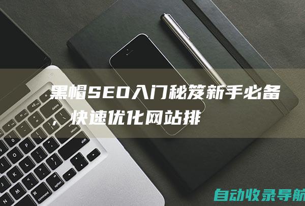 黑帽SEO入门秘笈：新手必备，快速优化网站排名