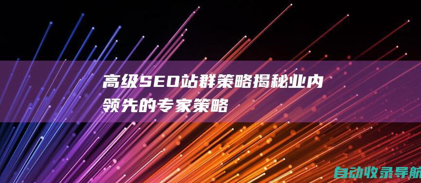 高级SEO站群策略：揭秘业内领先的专家策略