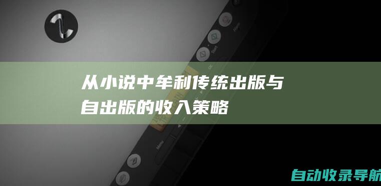 从小说中牟利：传统出版与自出版的收入策略