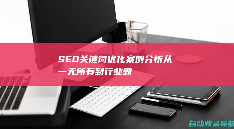 SEO关键词优化案例分析：从一无所有到行业霸主