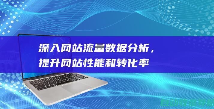 深入网站流量数据分析，提升网站性能和转化率