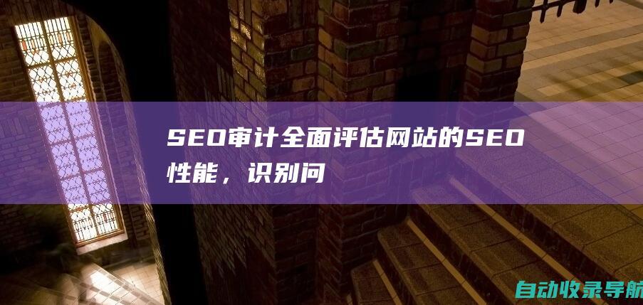 SEO审计：全面评估网站的SEO性能，识别问题并提出改进建议。