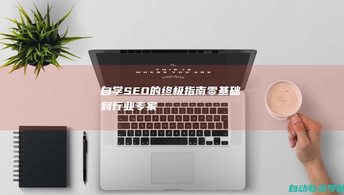 自学SEO的终极指南：零基础到行业专家