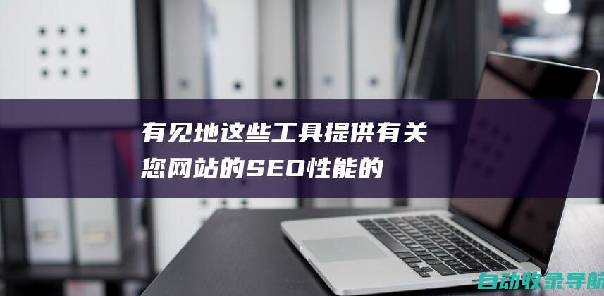 有见地：这些工具提供有关您网站的SEO性能的有价值的见解，帮助您确定改进领域。