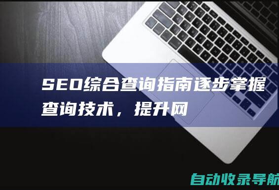 SEO综合查询指南：逐步掌握查询技术，提升网站优化