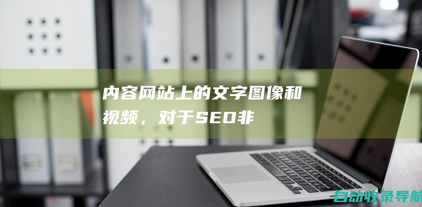 内容：网站上的文字、图像和视频，对于SEO非常重要。