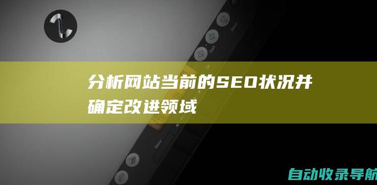 分析网站当前的SEO状况并确定改进领域