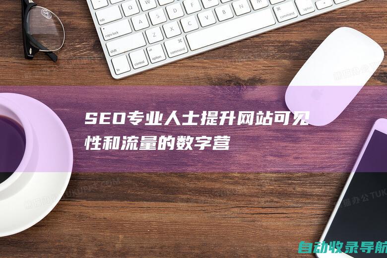 SEO专业人士：提升网站可见性和流量的数字营销专家