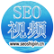 SEO教程零基础入门到高级-学习网站SEO技术知识_SEO视频网