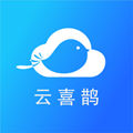 云喜鹊_短信群发_106短信平台_商户广告营销_网络推广运营APP - 云喜鹊营销小助手