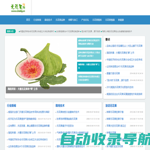 无花果网  无花果电子商务平台 无花果干 china fig Ficus carica Linn.