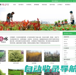 [长景园林] 苗木批发基地-绿化公司-提供苗木报价-品种名称图片查询-三点水商贸