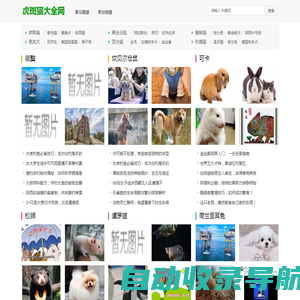 虎斑猫大全网 - 精选虎斑猫品种介绍、饲养指南与爱好者社区