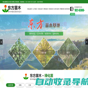 山东泰安绿化苗,果树苗种植批发基地_泰安高新区东方苗木有限公司