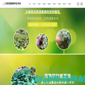 大姚县优质滇重楼种苗种植场（个体工商户）-一站式重楼种苗服务商