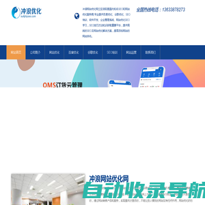 洛阳网站优化SEO,洛阳百度优化,谷歌优化,微信百度小程序开发-冲浪网站优化网