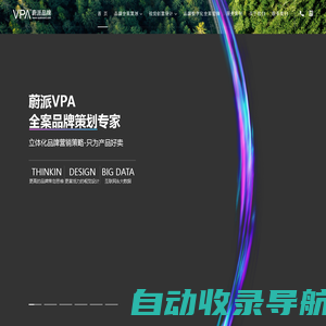 上海品牌策划公司-企业品牌设计-品牌营销策划咨询-蔚派VPA