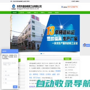 东莞市盈铂模具工业有限公司