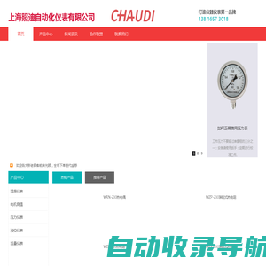 上海照迪自动化仪表有限公司