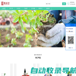 洋甘菊油 _丁香罗勒油现货供应商_吉水县聚源堂天然香料油有限公司