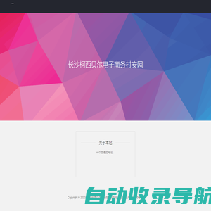 长沙柯西贝尔电子商务村安网