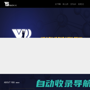 上海扬势营销咨询有限公司 YBB