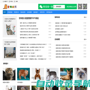 宠物猫交易|免费买猫卖猫平台 - 宠物猫网