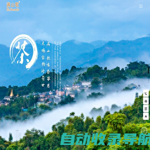 满山歌茶业（西双版纳）有限公司-满山歌-速溶茶-茶黄素-冷泡茶