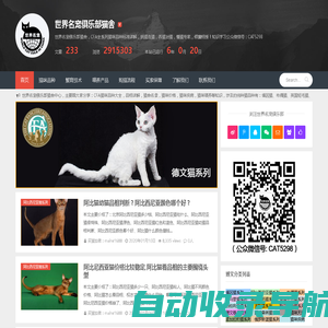 世界名宠俱乐部纯种猫舍 - 缅因猫_布偶猫_英国短毛猫_斯芬克斯猫_挪威森林猫_等等