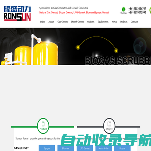 WEIFANG RONSUN POWER TECHNOLOGY CO., LTD._天然气发电机组价格_沼气发电机组厂家_秸秆气发电机组_山东沼气发电机组