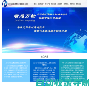 山东迪博信息科技有限公司