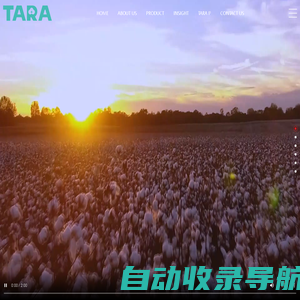 Taraltex-雄芮纺织科技品牌网站