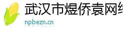 武汉市煜侨袁网络科技有限公司