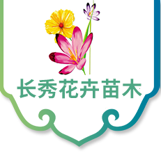 青州市长秀花卉有限公司-