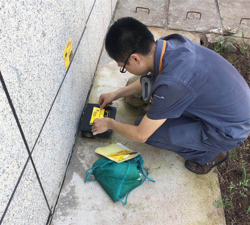 重庆杀虫_重庆灭鼠_重庆灭白蚁_重庆除四害_重庆有害生物防治公司办公室杀虫灭鼠_超市杀虫灭鼠_家庭杀虫灭鼠_重庆白蚁防治_重庆杀虫公司_重庆灭蟑螂公司_重庆灭蚊蝇公司_重庆专业杀虫公司_重庆灭白蚁公司_重庆专业杀虫公司―重庆中瑞有害生物防治有限公司[13657688045]