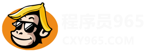 程序员工具-CXY965