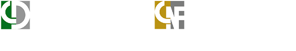 上海压铸展|CHINA DIECASTING 2025中国压铸展|第十九届上海压铸暨有色铸造展