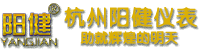 测试监测分析仪工作原理/在线检测仪技术参数/自动监控设备产品特点-杭州阳健仪表公司