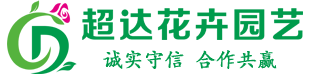 沭阳县超达花木场-超达花卉园艺,中华木绣球,斗球,木绣球,铁线莲,进口紫藤,银丝茉莉,欧洲木绣球,藤本月季,欧月,地被植物,大花月季,竹子,日本红枫